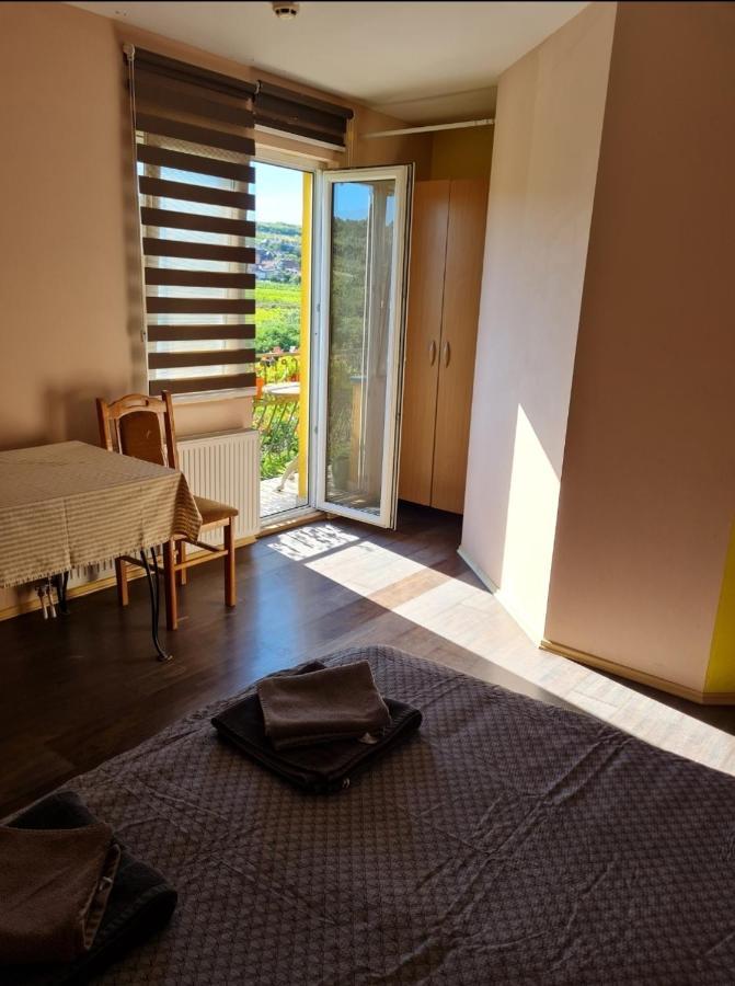 Vila Belilo Sremski Karlovci Exteriör bild