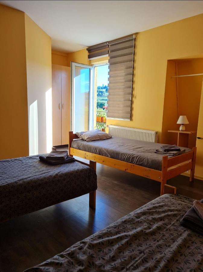 Vila Belilo Sremski Karlovci Exteriör bild